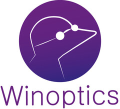 WINOPTICS