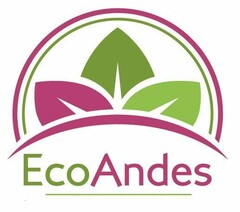 ECOANDES