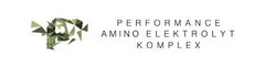 PERFORMANCE AMINO ELEKTROLYT KOMPLEX