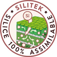 SILITEK SILICE 100% ASSIMILABLE