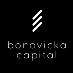 borovicka capital