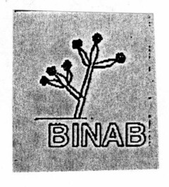 BINAB