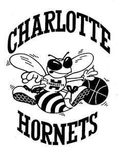 CHARLOTTE HORNETS