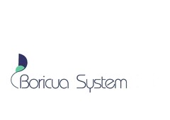 Boricua System