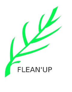 FLEAN'UP