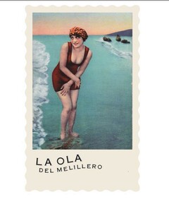 LA OLA DEL MELILLERO