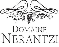 DOMAINE NERANTZI