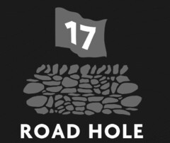 17 ROAD HOLE