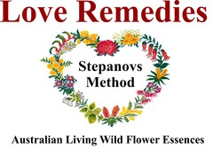 Love Remedies Stepanovs Method Australian Living Wild Flower Essences
