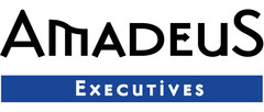 AMADEUS EXECUTIVES