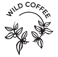 WILD COFFEE