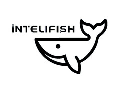 İNTELIFISH