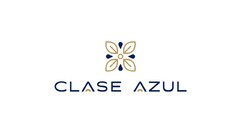 CLASE AZUL