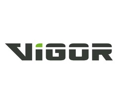 VIGOR