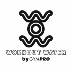 WORKOUT WATER BY GYMPRO