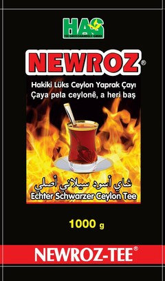 HAS NEWROZ TEE