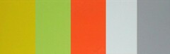 Giallo Pantone 012-U, verde Pantone 381-U, arancio Pantone 021-U, bianco RAL 9001, grigio Pantone 423-C.