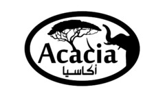 Acacia