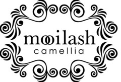 mooilash camellia