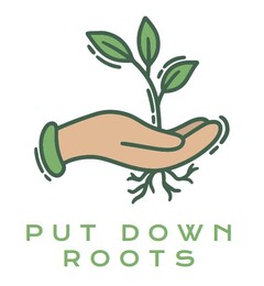PUT DOWN ROOTS