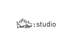 David LLoyd: studio