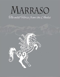 MARRASO The wild Horse from the Andes