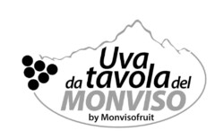 UVA DA TAVOLA DEL MONVISO BY MONVISOFRUIT