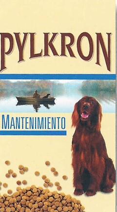 PYLKRON MANTENIMIENTO