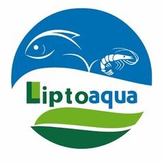 Liptoaqua