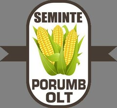 SEMINTE PORUMB OLT