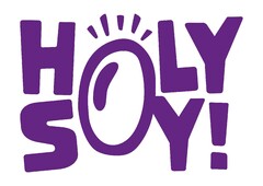 HOLY SOY!