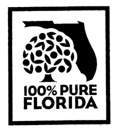 100% PURE FLORIDA