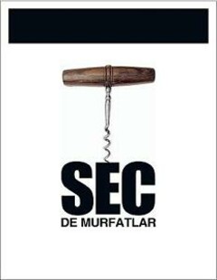 SEC DE MURFATLAR