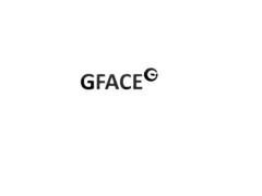 GFACE