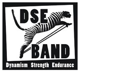 DSE BAND Dynamism Strength Endurance