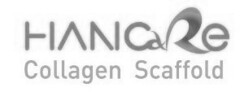 HANCaRe Collagen Scaffold