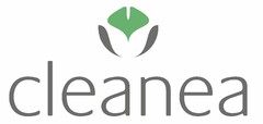 Cleanea