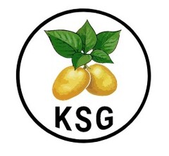 KSG