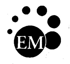 EM