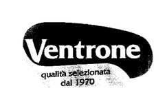 Ventrone qualità selezionata dal 1970