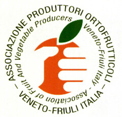 ASSOCIAZIONE PRODUTTORI ORTOFRUTTICOLI VENETO FRIULI ITALIA Association of Fruit And Vegetable Producers Veneto Friuli Italy