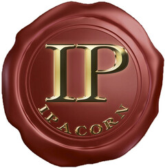 IP IPACORN