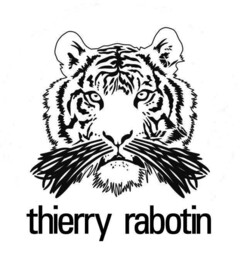 thierry rabotin
