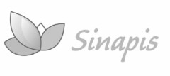 SINAPIS