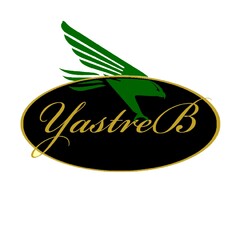 YASTREB