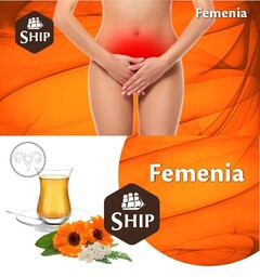 FEMENIA SHIP