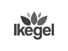Ikegel