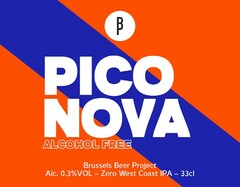 PICO NOVA Brussels Beer Project