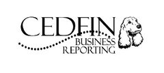 CEDFIN BUSINESS REPORTING