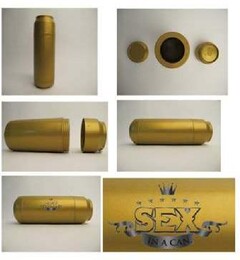 SEX IN A CAN